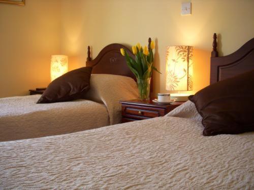 Dun Ri Guesthouse Clifden Kültér fotó